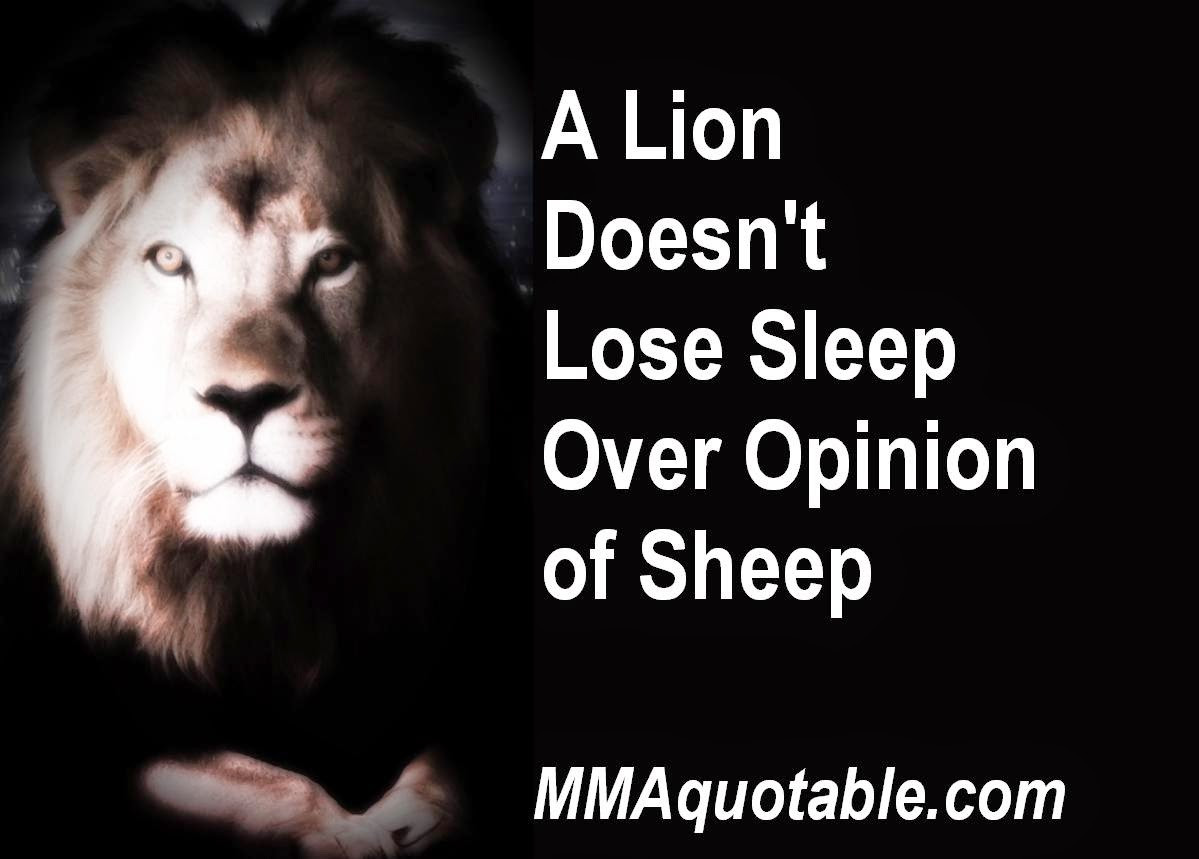 Lion Motivational Quotes
 Lion Motivational Quotes QuotesGram
