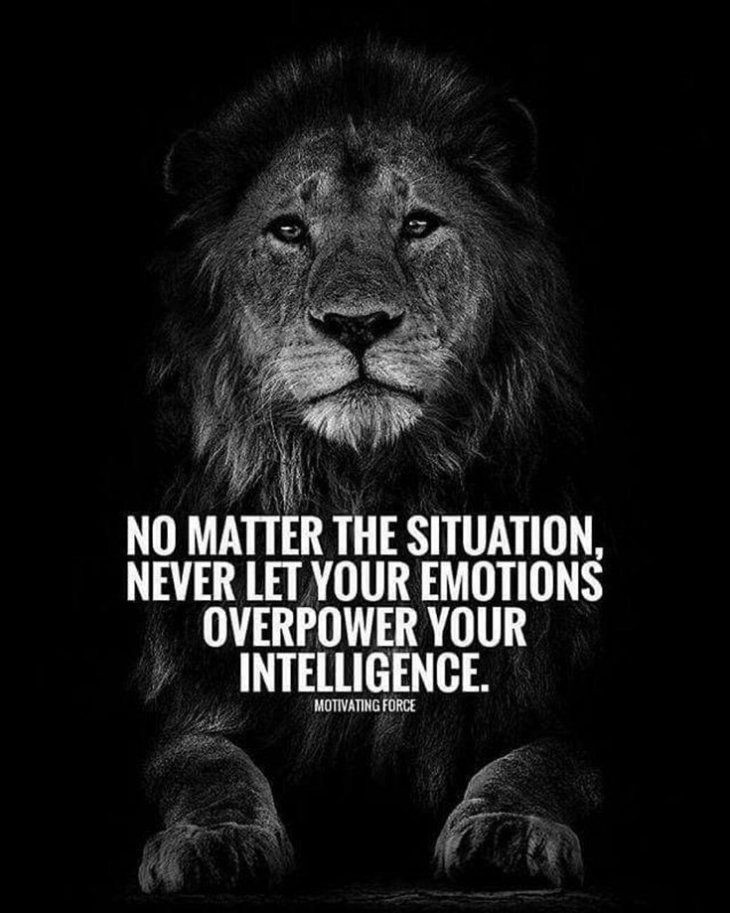 Lion Motivational Quotes
 342 Motivational Inspirational Quotes About Success 120