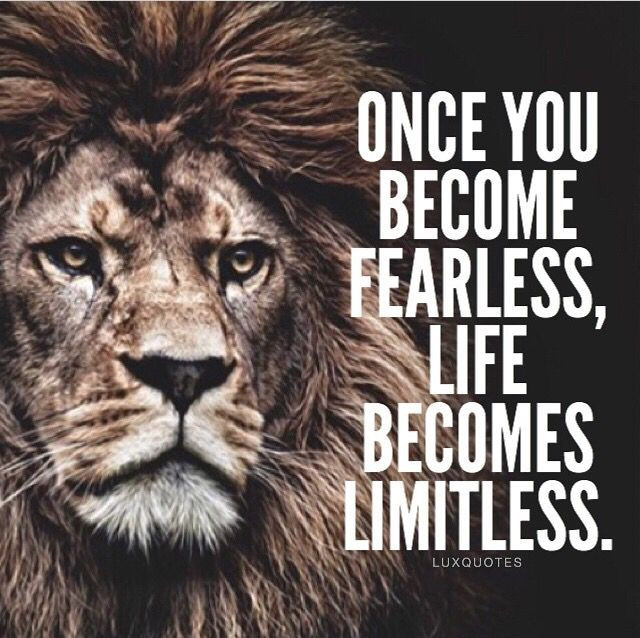 Lion Motivational Quotes
 Pin by sudi on Quotes