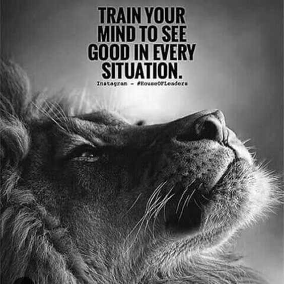 Lion Motivational Quotes
 87 Encourage Quotes About Inspirational To Immediately