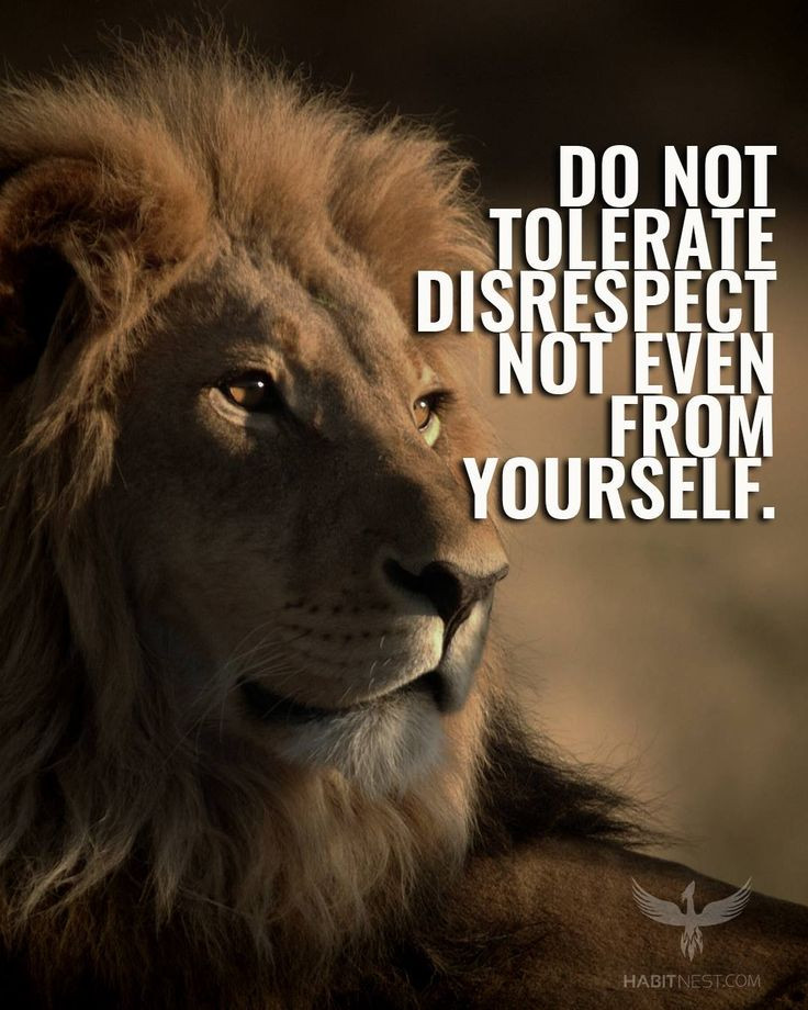 Lion Motivational Quotes
 Best 25 Lion quotes ideas on Pinterest