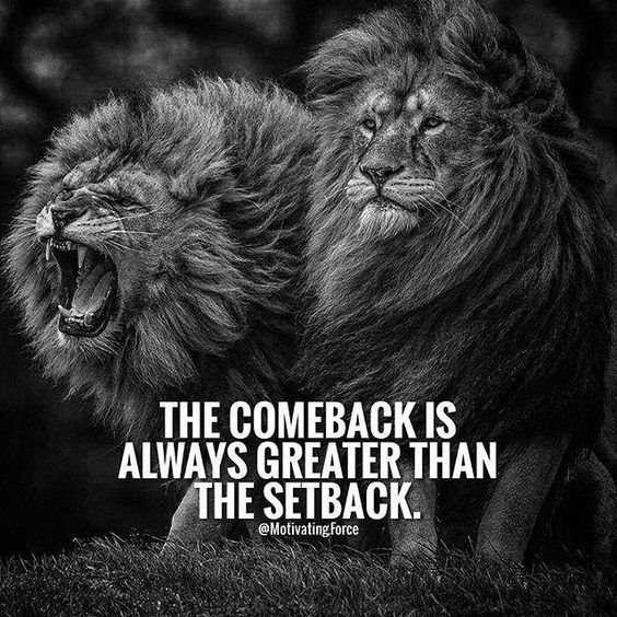 Lion Motivational Quotes
 86 Inspirational Quotes That Will Change Your Life