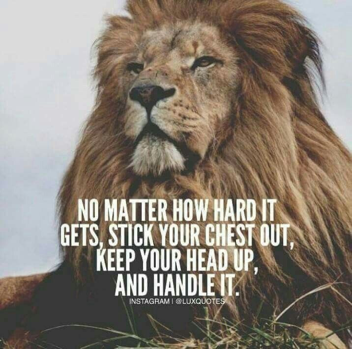Lion Motivational Quotes
 Image result for lion motivational quotes