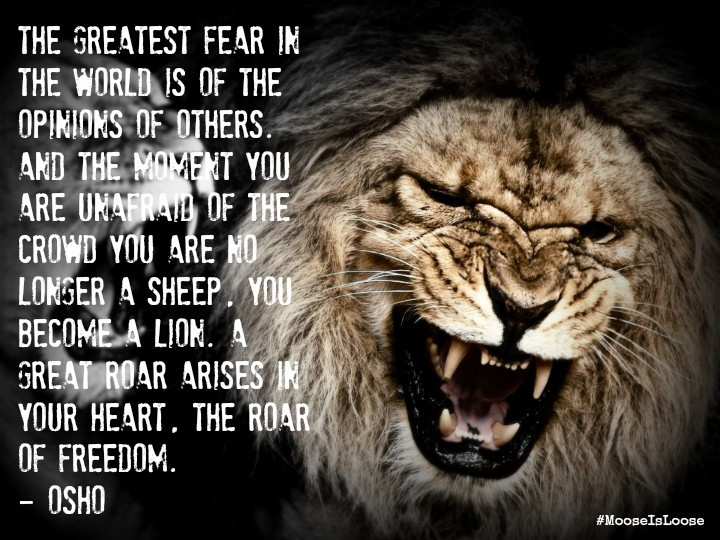 Lion Motivational Quotes
 Lion Inspirational Quotes QuotesGram