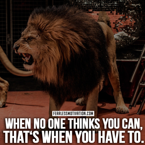 Lion Motivational Quotes
 30 Motivational Lion Quotes In Courage & Strength