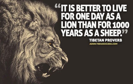 Lion Motivational Quotes
 Lion Inspirational Quotes And Sayings QuotesGram