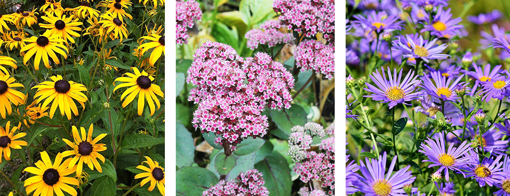 Living Color Garden Center
 Perennial Blooming Calendar for SoFlo