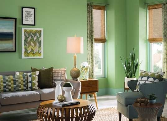 Living Paint Colors
 Green Living Room Paint Color bos Your plete