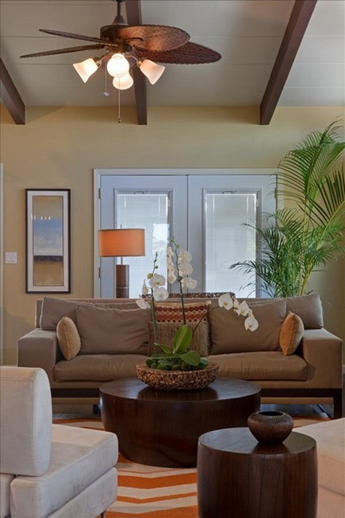 Living Room Tree Decoration
 Designing a Palm Tree Themed Living Room Interior design