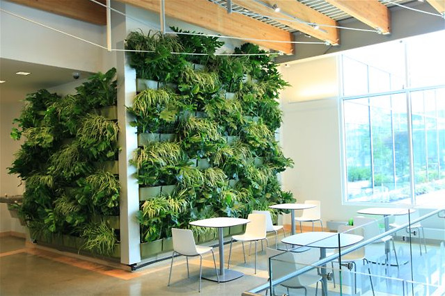 Living Wall Indoor
 Downtown Market expands green space with indoor living