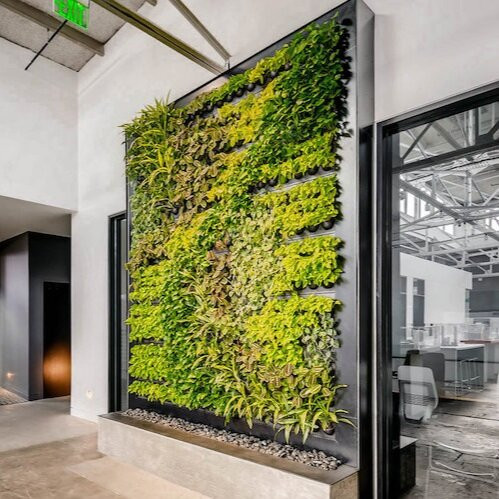 Living Wall Indoor
 Custom Living Walls for Any Space