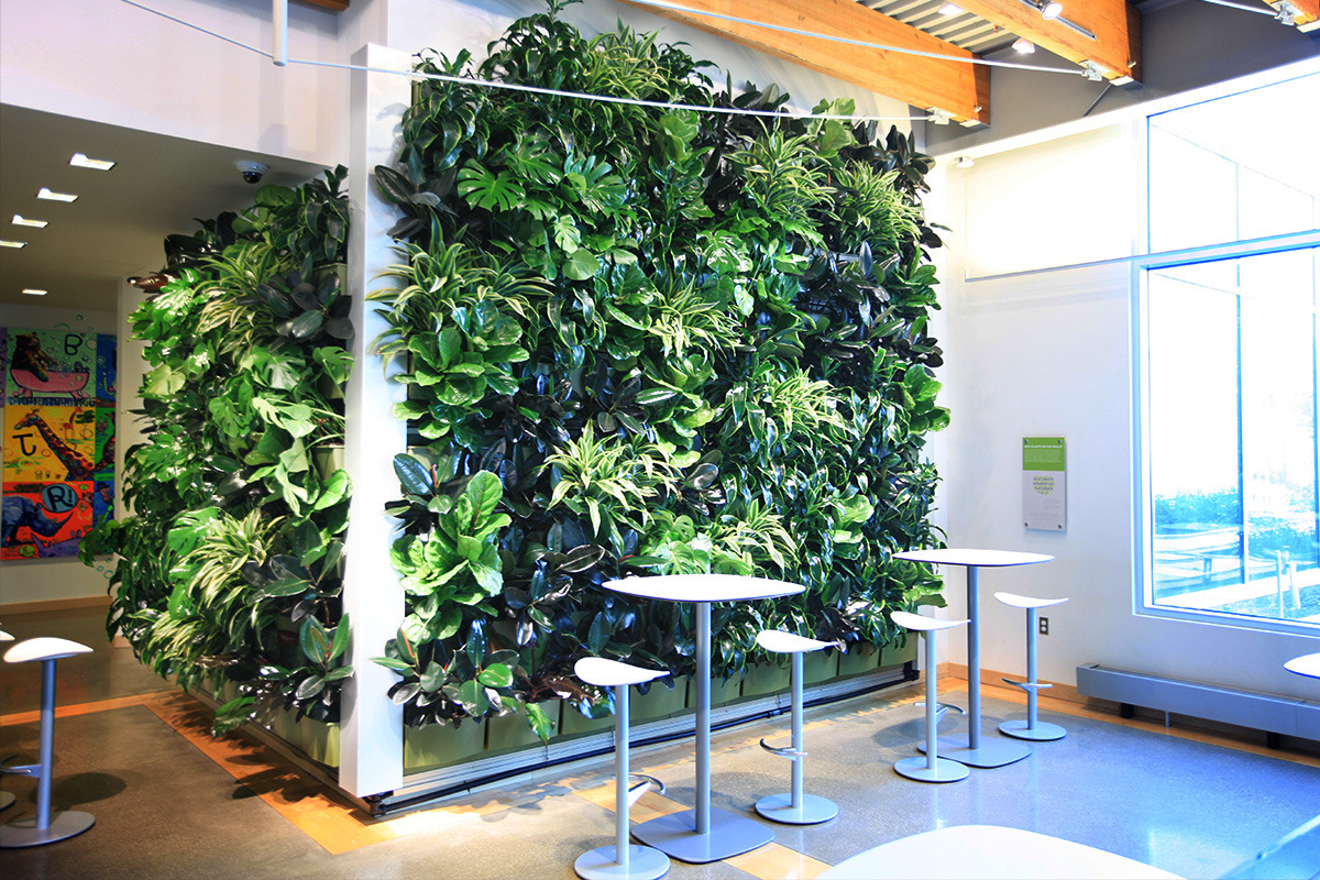 Living Wall Indoor
 Installation LiveWall Green Wall System