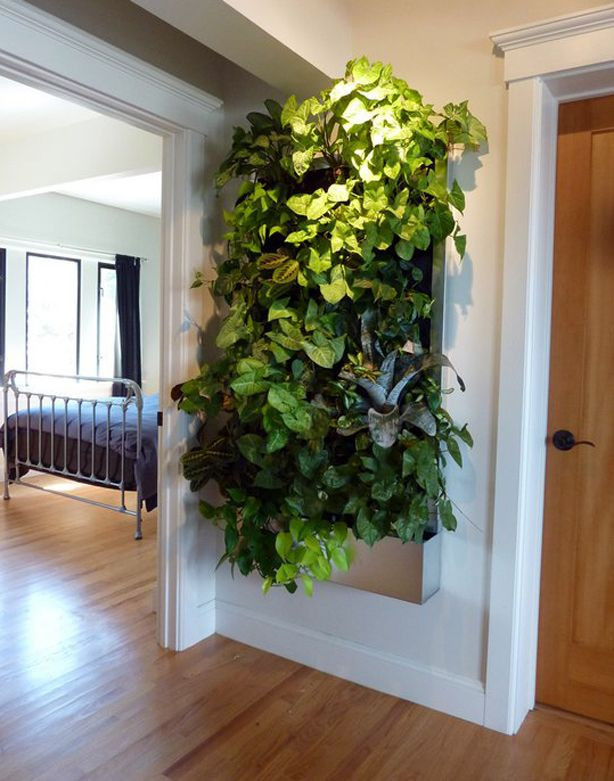 Living Wall Indoor
 Living Wall for Small Space Gardens