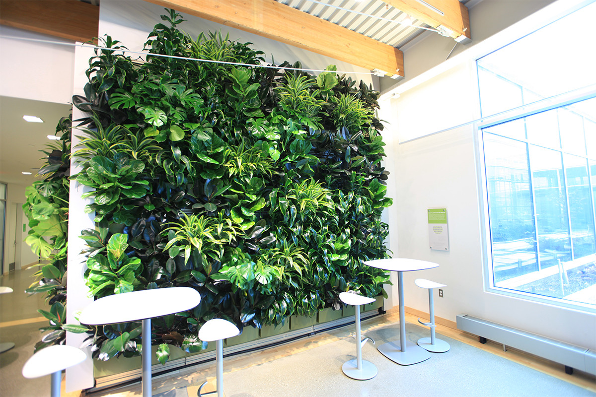 Living Wall Indoor
 Indoor Living Walls LiveWall Green Wall System
