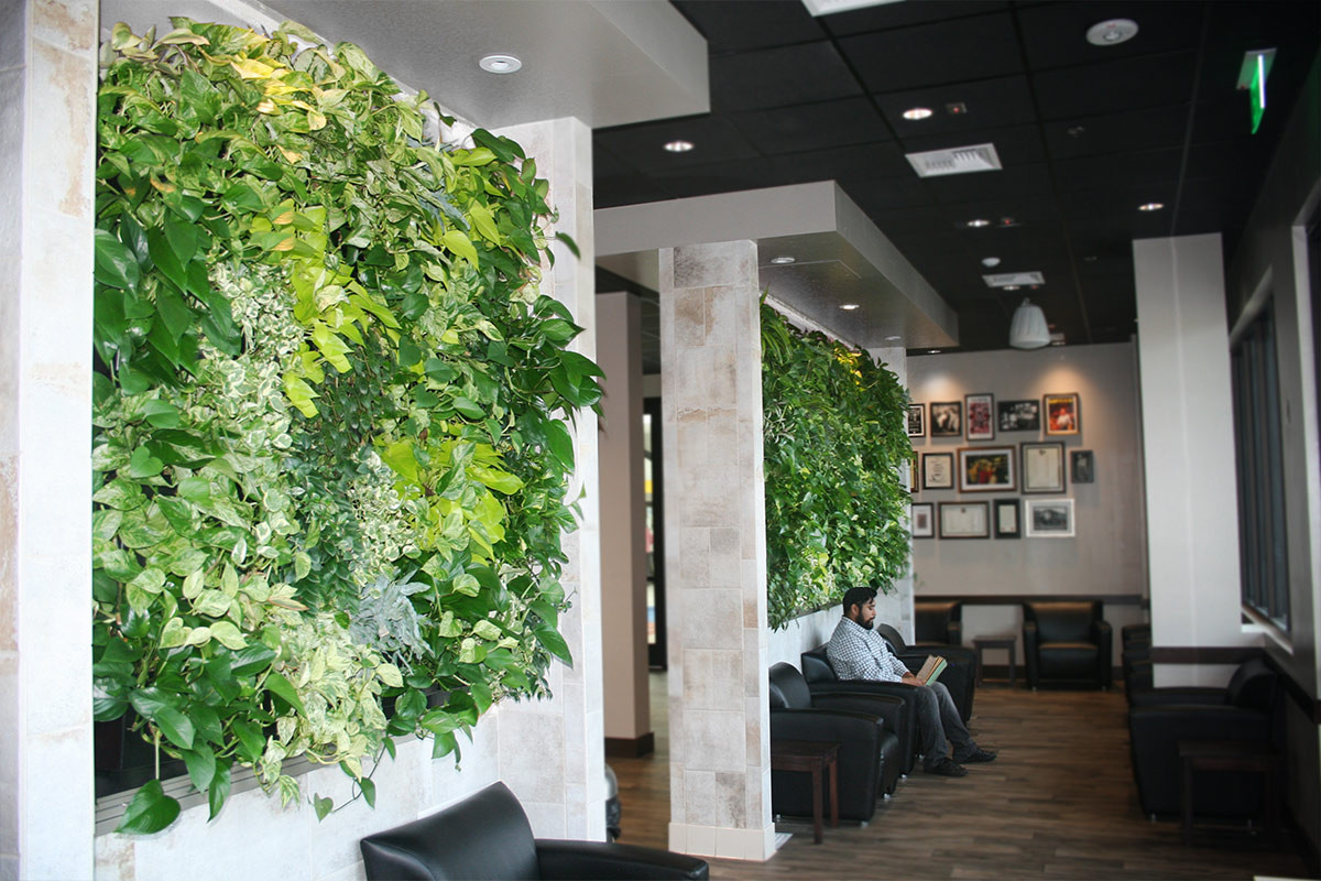 Living Wall Indoor
 Peets Coffee Indoor Tropical Green Wall