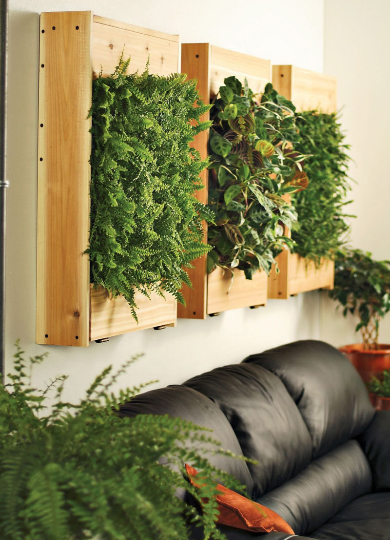 Living Wall Planter Indoor
 Indoor Living Wall Planters The Green Head