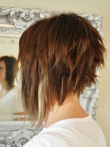Long In Front Short In Back Hairstyle
 2019 Popular Short In Back Long In Front