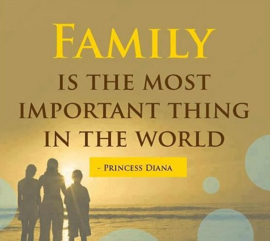 Love Family Quotes
 30 Loving Quotes About Family
