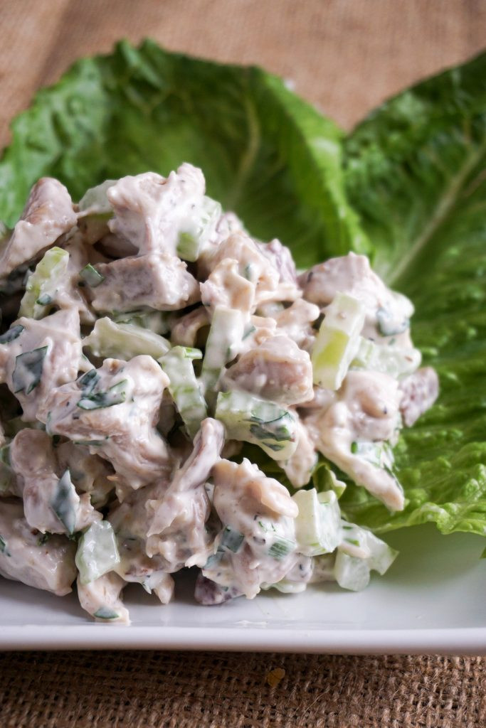 Low Carb Chicken Salad Recipe
 The Best 5 Low Carb Keto Chicken Salad Recipes Healthy