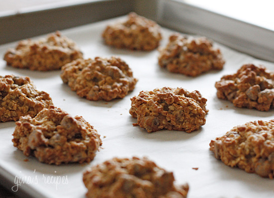 Low Cholesterol Oatmeal Cookies
 Low Fat Chewy Chocolate Chip Oatmeal Cookies