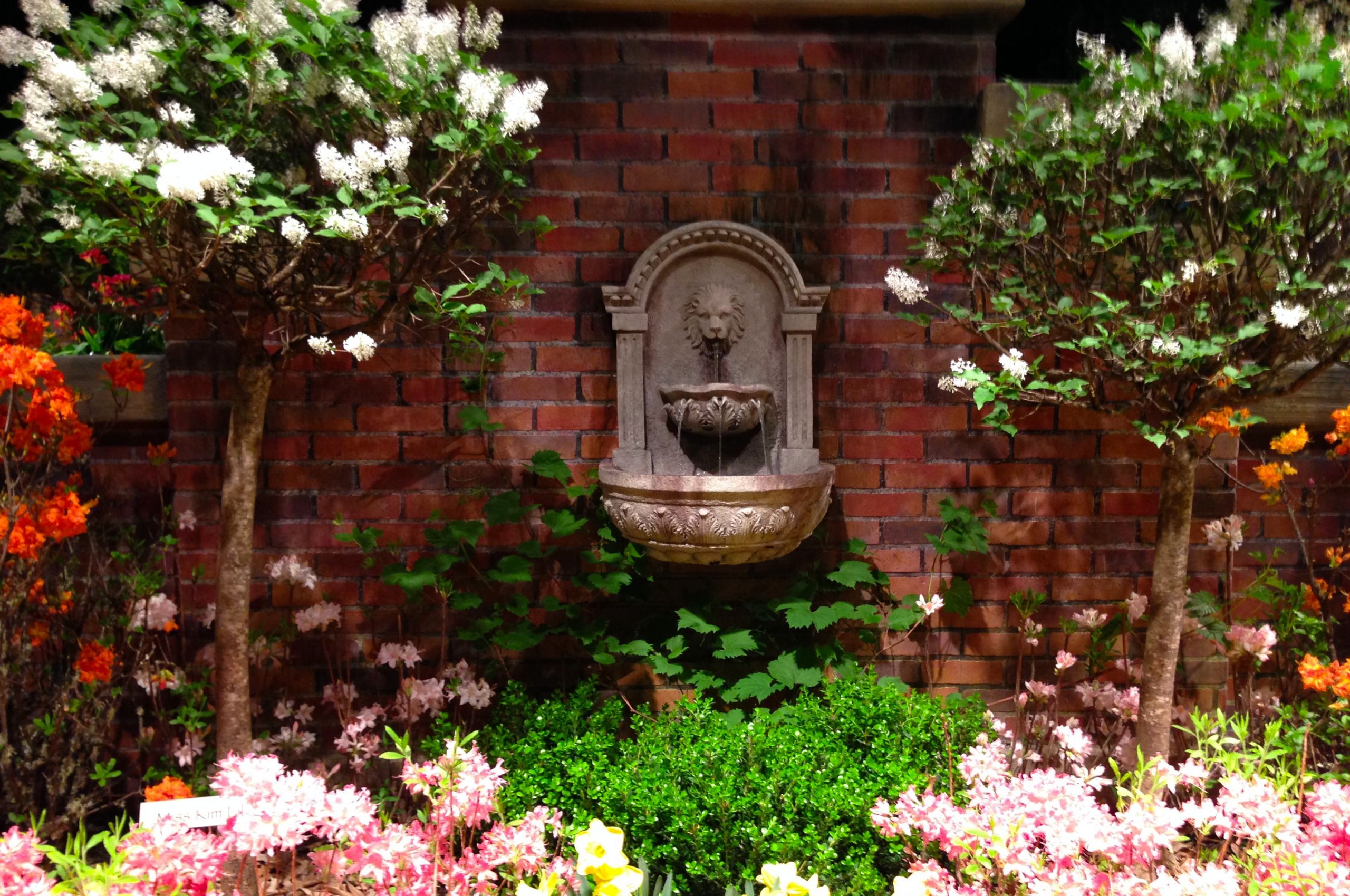 Macy's Wedding Rings
 Secret Bench In A Pink Flower Garden Stock Picture