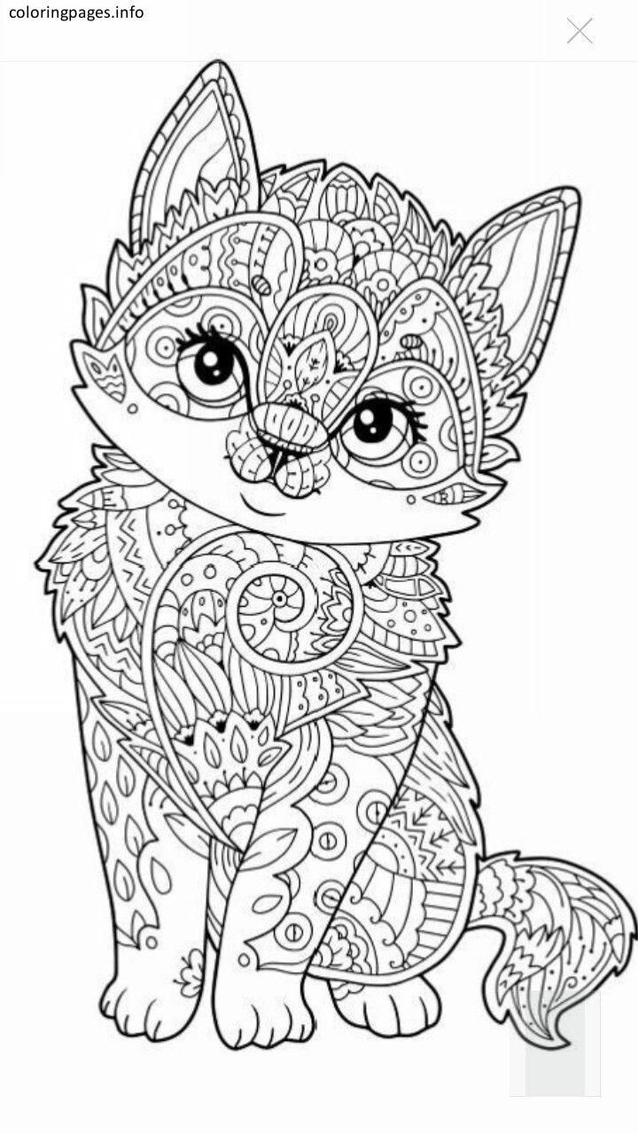 Mandala Coloring Books For Kids
 Cat Animal Mandala Coloring Pages Mandala Coloring Pages