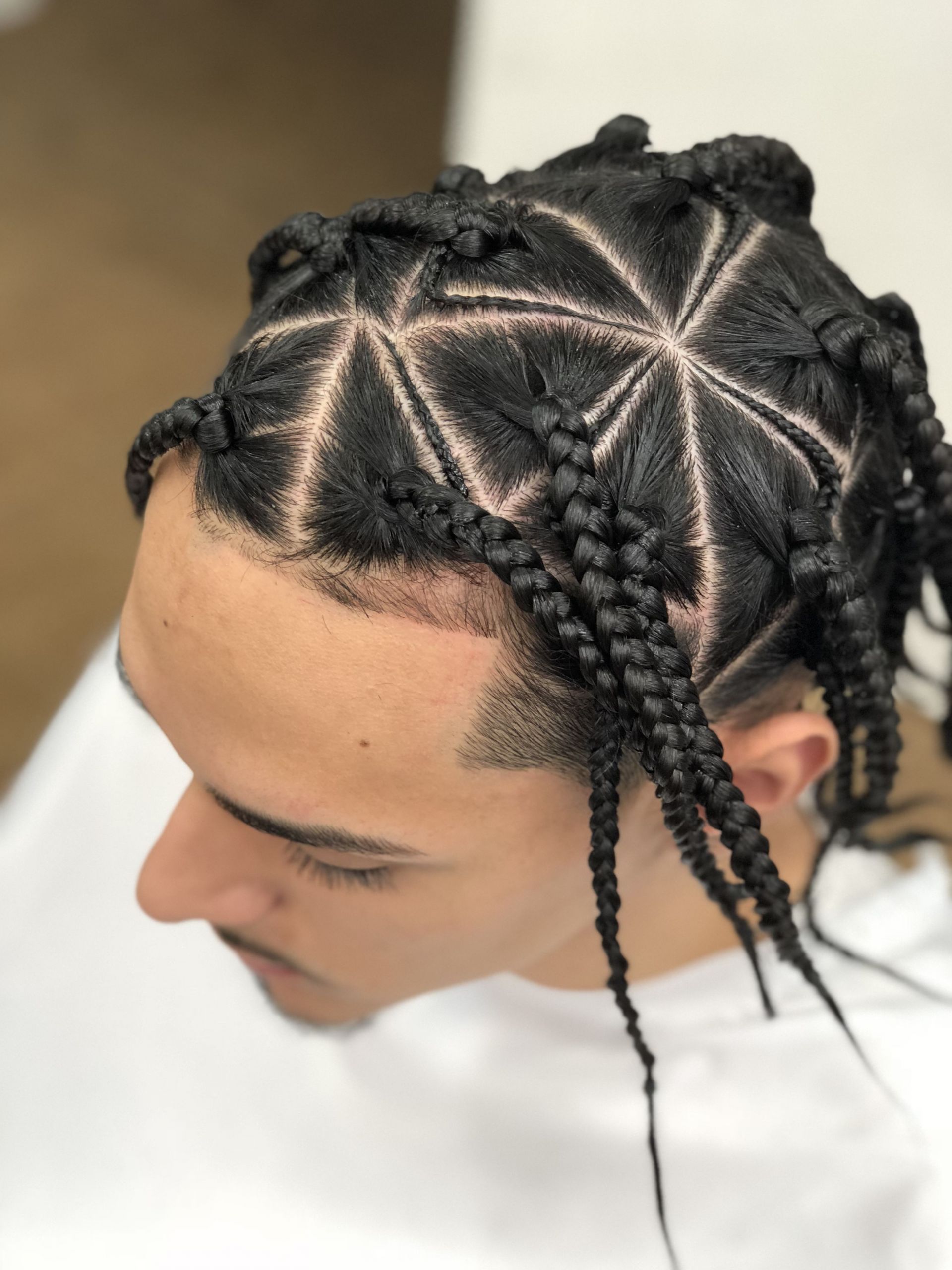Mens Braided Hairstyles
 Hairstyle in 2019
