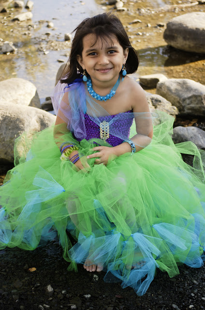 Mermaid DIY Costume
 25 Creative DIY Costumes for Girls