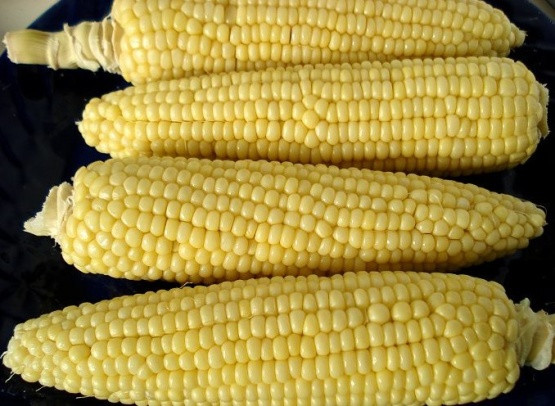 Microwave Corn On The Cob With Husk
 microwave corn on the cob without husk recipe