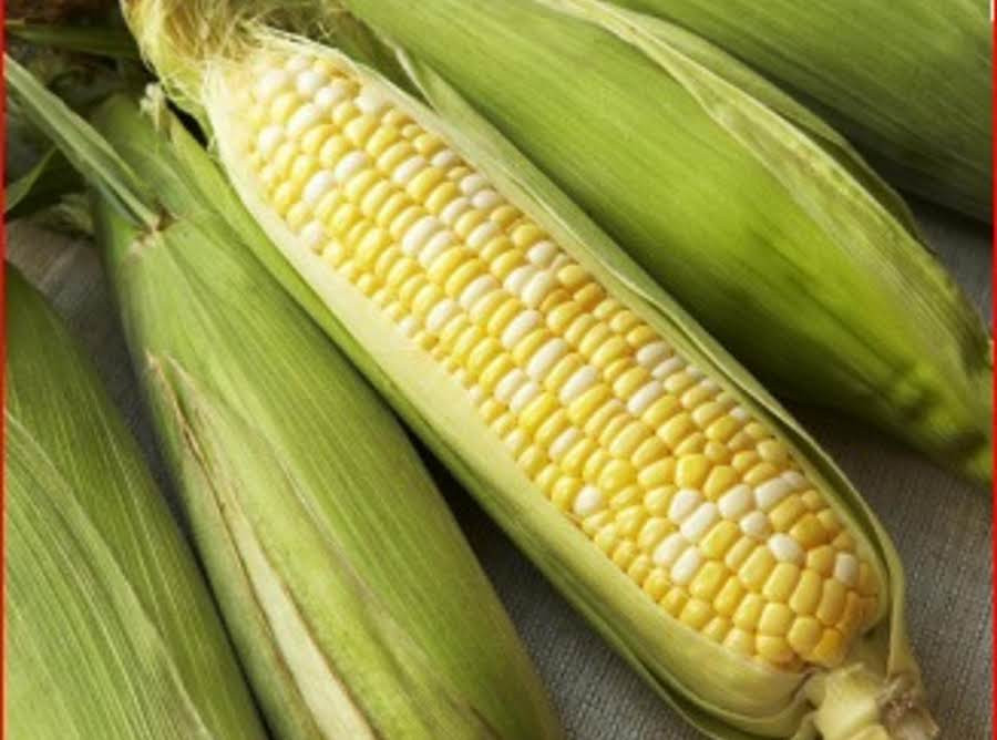 Microwave Corn On The Cob With Husk
 Baked Microwave Corn The Cob Recipe
