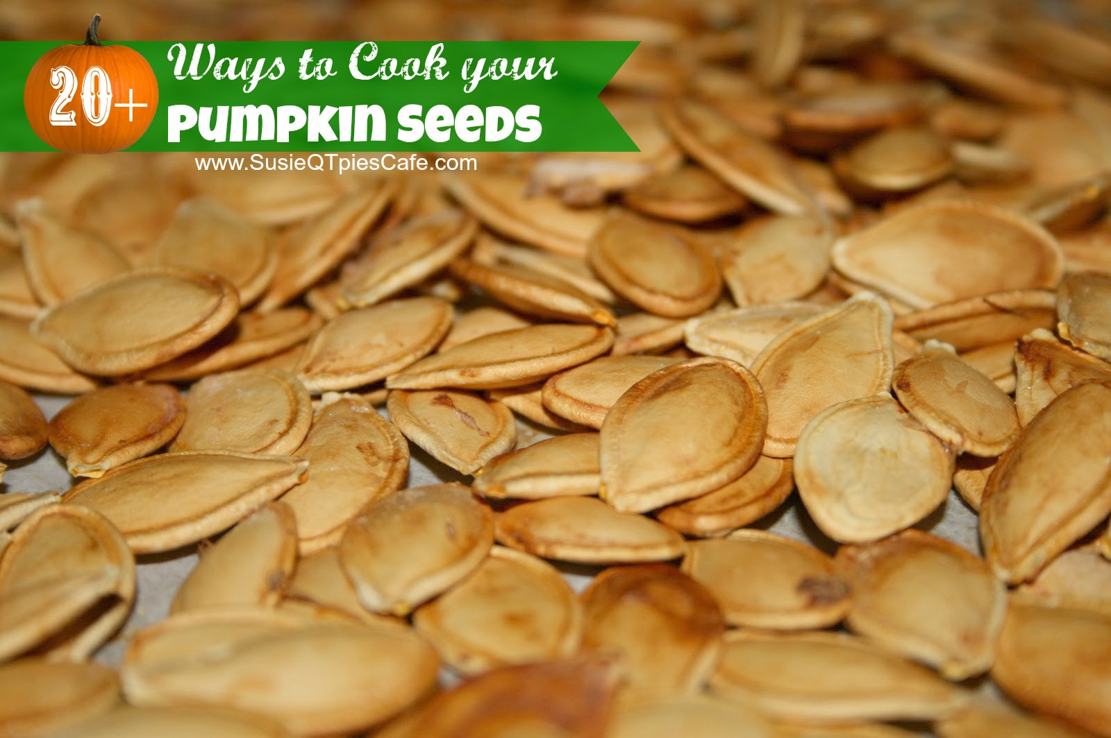 Microwave Pumpkin Seeds
 SusieQTpies Cafe 20 Ways to Cook your Pumpkin Seeds