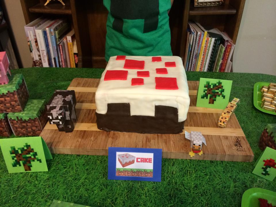 Minecraft Birthday Supplies Party City
 Twinfamous Minecraft 7th Birthday Party Mod