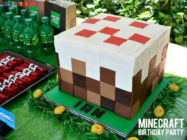 Minecraft Birthday Supplies Party City
 have a blast minecraft birthday party cool progeny