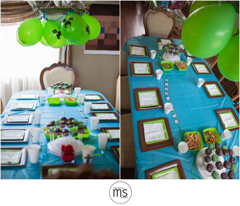 Minecraft Birthday Supplies Party City
 How To Throw A Minecraft Themed Birthday Party DIY