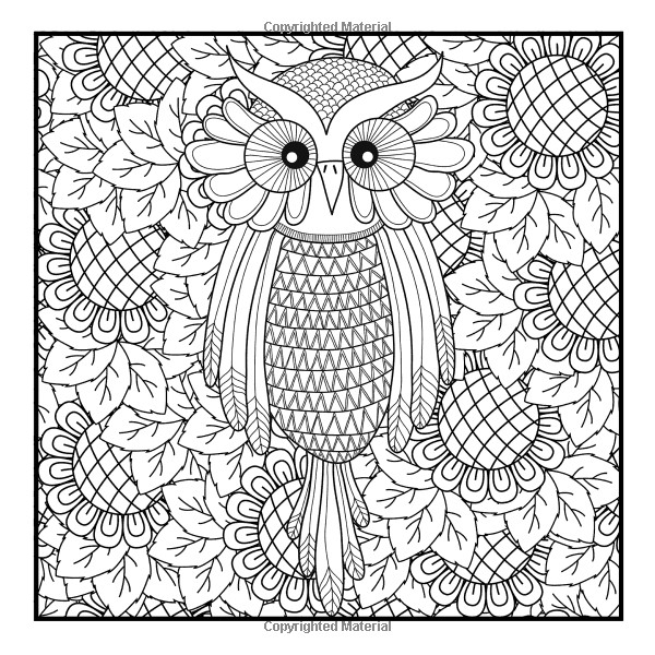 Mini Adult Coloring Book
 Mini Doodles Owls Volume 1 Louise
