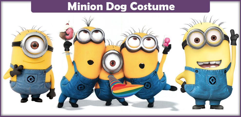Minion Dog Costume DIY
 Minion Dog Costume A DIY Guide Cosplay Savvy