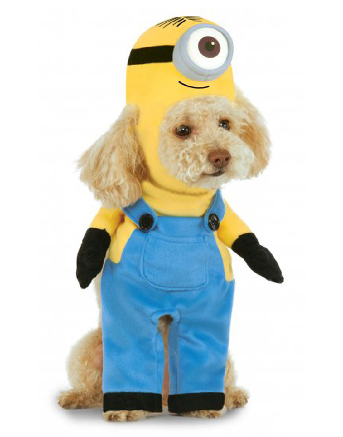 Minion Dog Costume DIY
 MINIONS Dog Costume Halloween Minion Despicable Me Follow