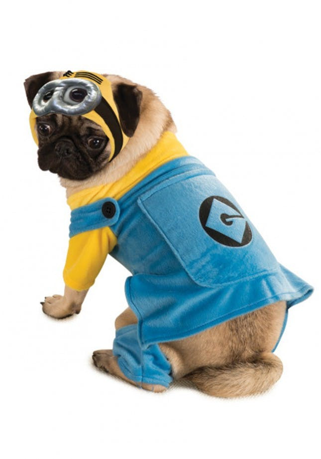 Minion Dog Costume DIY
 The Top 9 Best Selling Pet Costumes Right Now