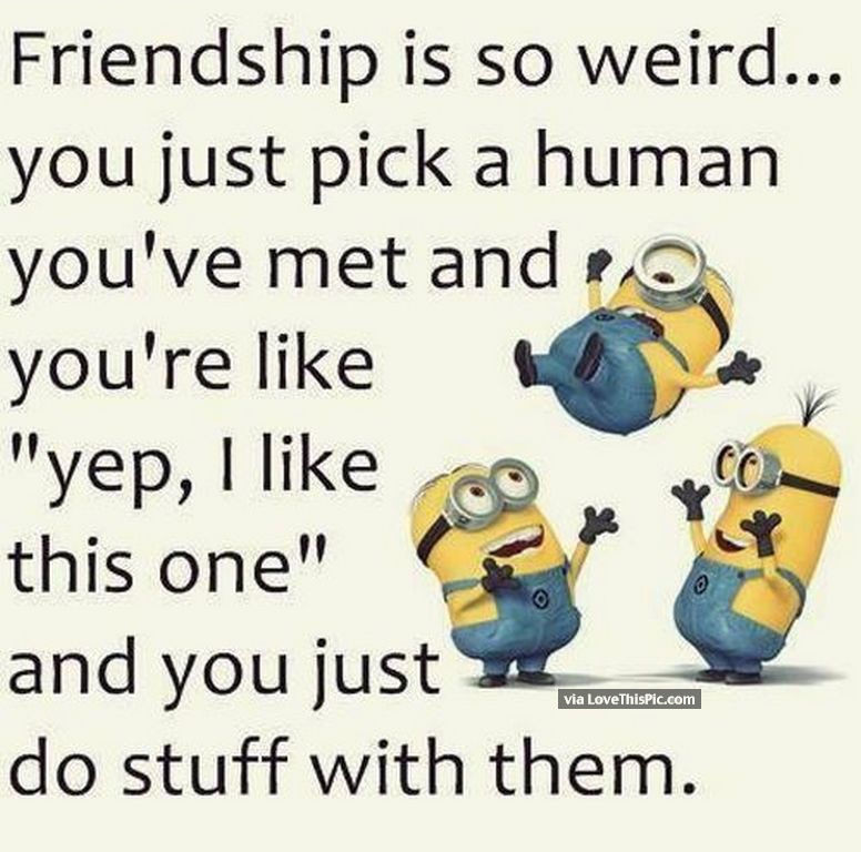 Minion Quotes About Friendship
 Friendship Minion Quote s and for