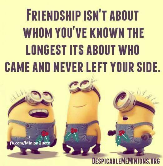Minion Quotes About Friendship
 Minions With Quotes Funny Best Friend QuotesGram