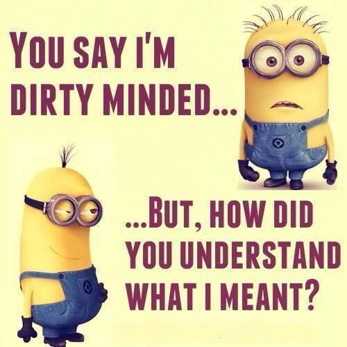 Minion Quotes About Friendship
 STUPID BEST FRIEND MEMES image memes at relatably