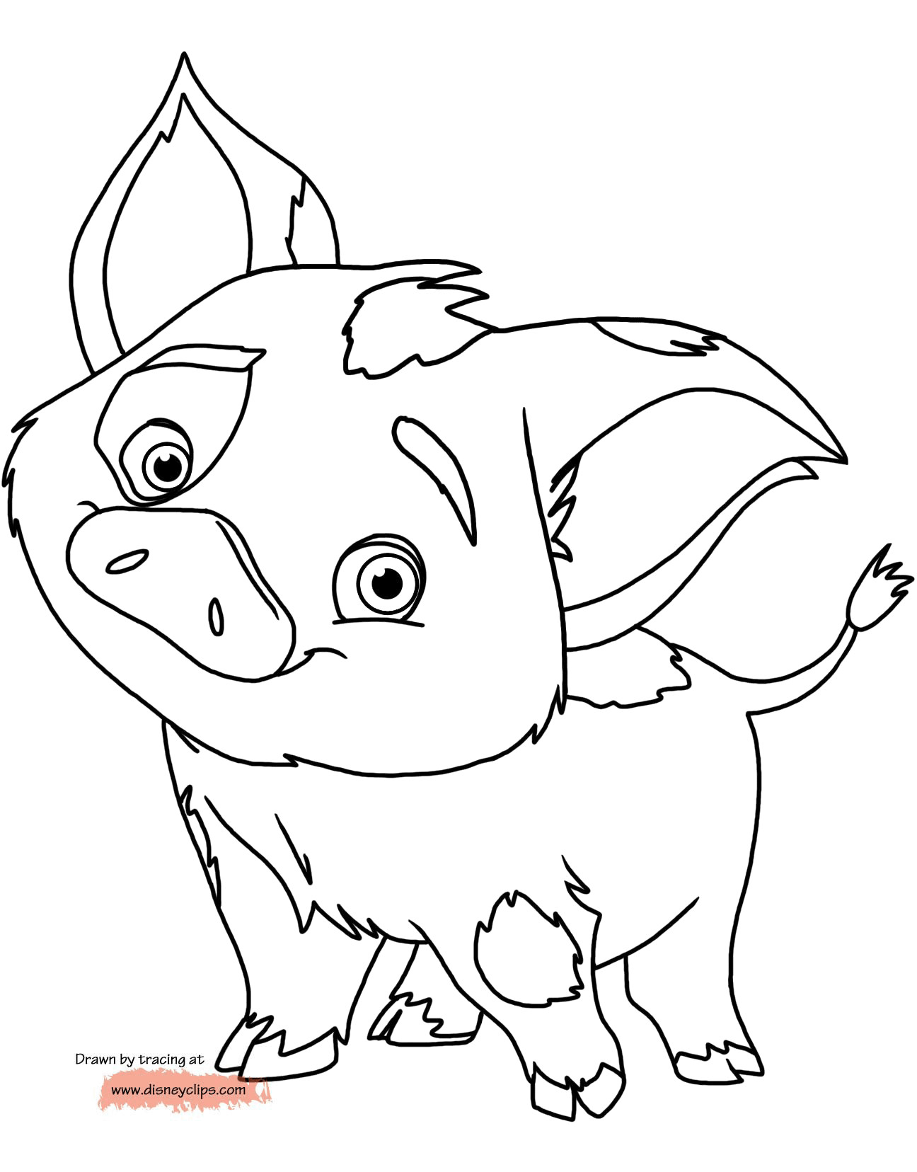 Moana Coloring Pages Printable
 Disney s Moana Coloring Pages