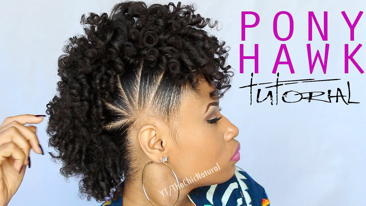 Mohawk Hairstyle For Natural Hair
 THE PONY HAWK
