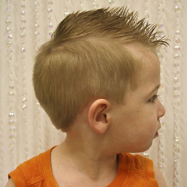 Mohawk Hairstyles For Kids
 15 Toddler Haircuts