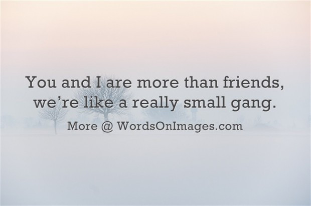 More Than Friendship Quotes
 More Than Friends Quotes And Sayings QuotesGram