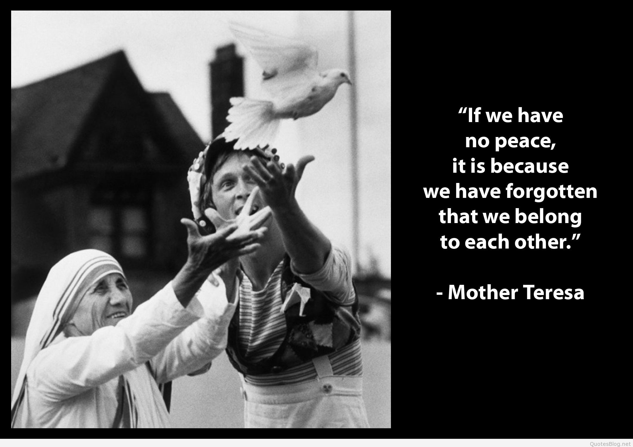 Mother Teresa Peace Quotes
 Mother Theresa Brainy Quotes and sayings