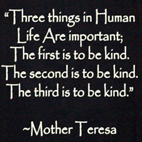 Mother Teresa Quotes Kindness
 Don’t Be A Dick