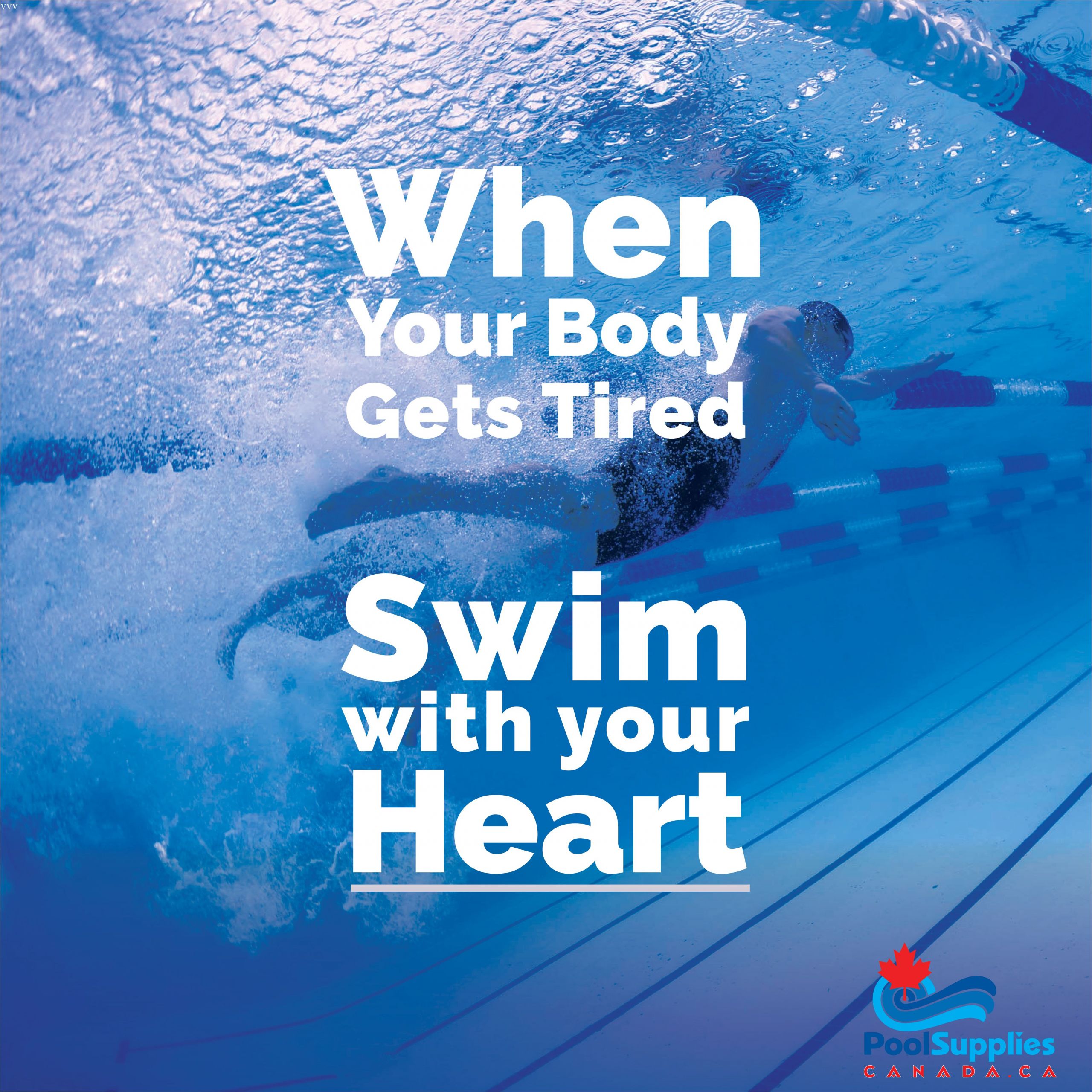 Motivational Quotes For Swimming
 Swim Your Heart Out Swim Pool Swimming Quotes