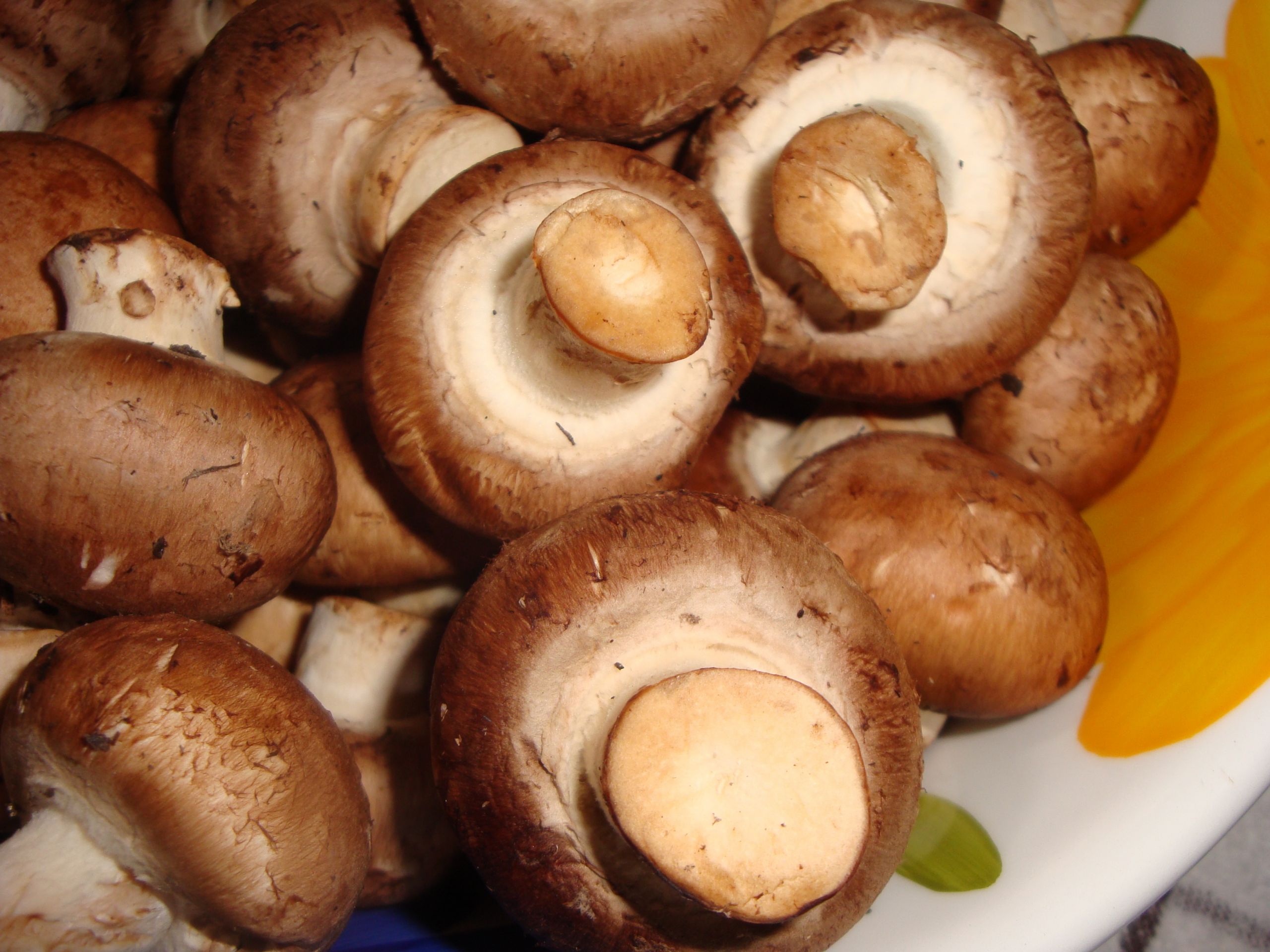Mushroom In Italian
 Quick Delicious and Easy – Italian Marinated Mushrooms