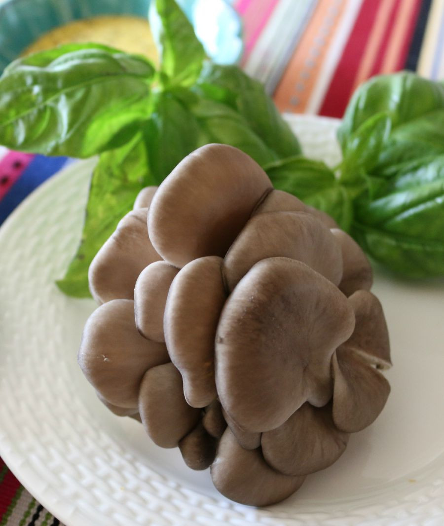 Mushroom In Italian
 Delectable Italian Pasta with Oyster Mushrooms